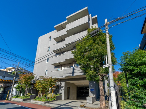 二子玉川園パークホームズの写真 13枚目