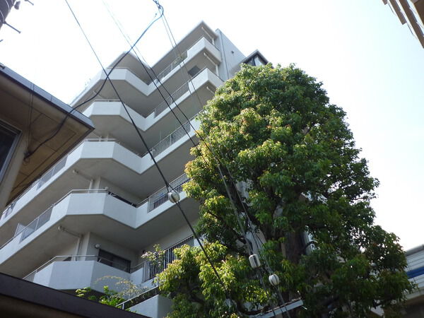 コートアコート深沢の写真 6枚目