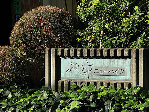 代々木ニューハイツの写真 15枚目