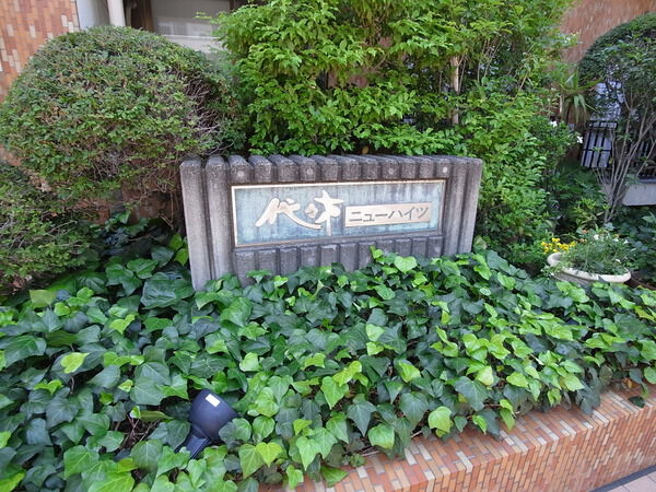 代々木ニューハイツの写真 9枚目