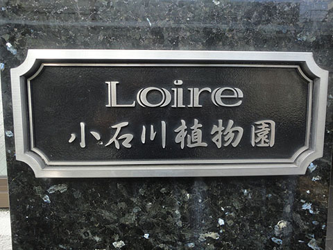 ロアール小石川植物園の写真 10枚目