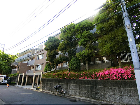 シティコート広尾の写真 6枚目