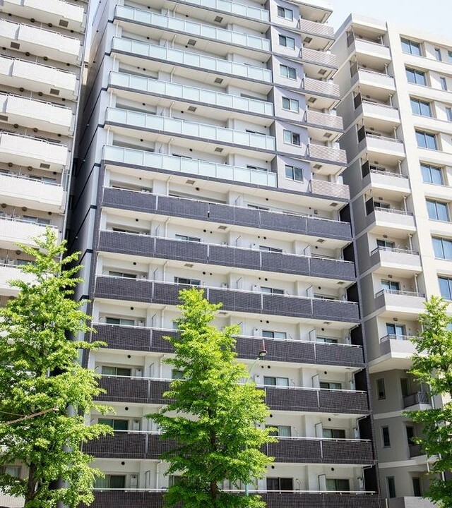 アイル文京白山の写真 4枚目