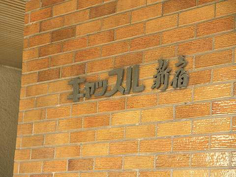 キャッスル新宿の写真 9枚目