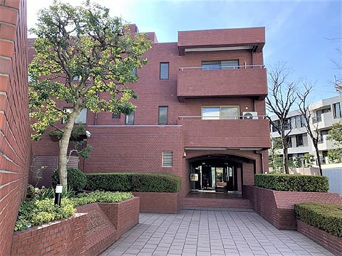 パレロワイヤル南青山の写真 7枚目