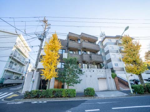 アンクレール深沢の写真 14枚目