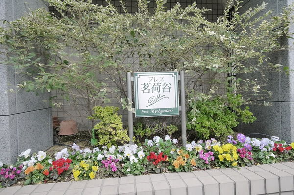 フレス茗荷谷の写真 5枚目