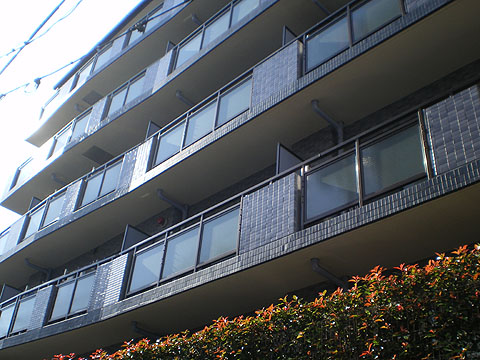 セザール元代々木の写真 12枚目