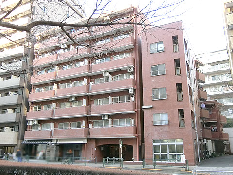 グリーンキャピタル広尾の写真 13枚目