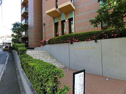 ガーデンテラス神宮前の写真 8枚目