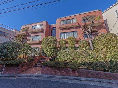 南麻布シティハウスの写真 9枚目