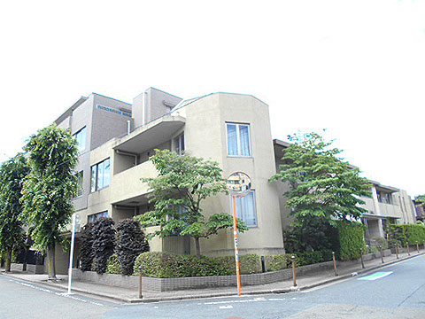 等々力ヒルズパティアージュの写真 11枚目