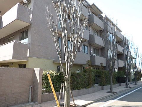 等々力ヒルズパティアージュの写真 12枚目