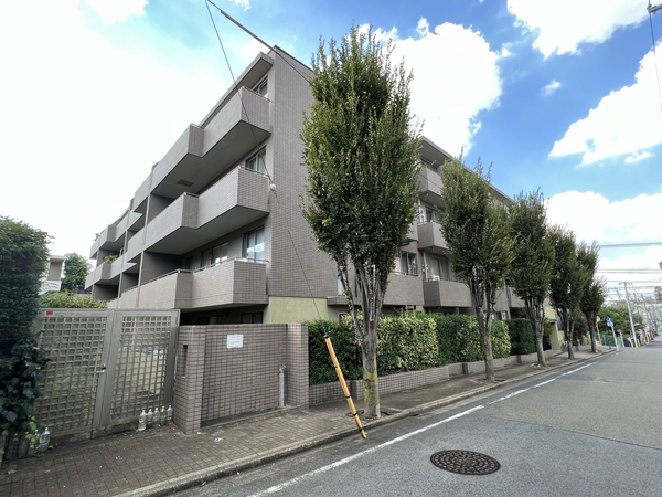 等々力ヒルズパティアージュの写真 6枚目