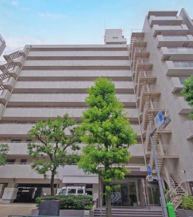 チュリス西麻布の写真 4枚目