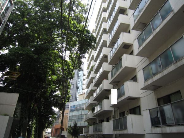 チュリス西麻布の写真 8枚目