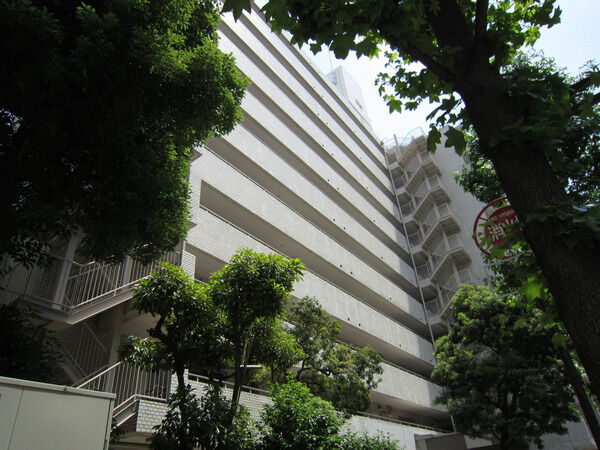 チュリス西麻布の写真 9枚目