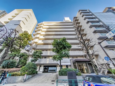 チュリス西麻布の写真 13枚目