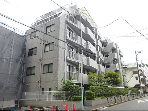 ワールドパレス文京本駒込の写真 20枚目