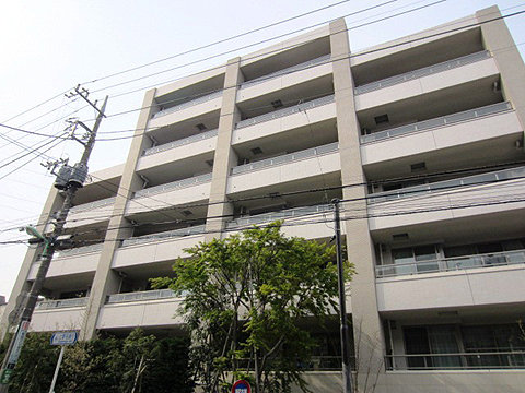 ブランズ等々力の写真 11枚目