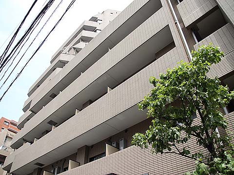 パレステュディオ白金高輪の写真 5枚目