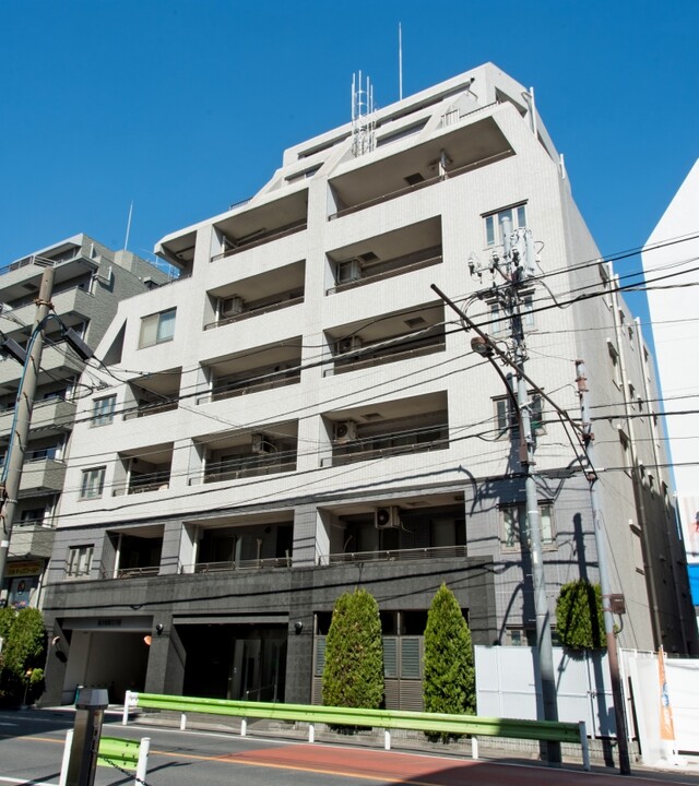 エルラフィナ白金の写真 3枚目