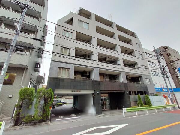 エルラフィナ白金の写真 4枚目