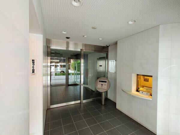 エルラフィナ白金の写真 10枚目