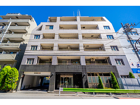 エルラフィナ白金の写真 11枚目