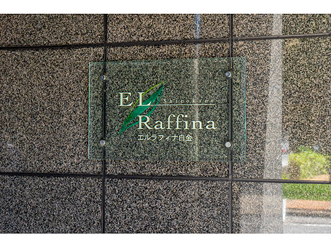 エルラフィナ白金の写真 12枚目
