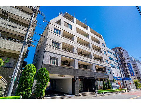 エルラフィナ白金の写真 13枚目