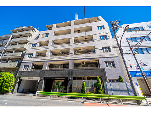 エルラフィナ白金の写真 15枚目