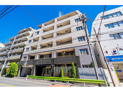 エルラフィナ白金の写真 16枚目