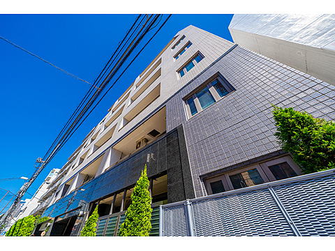 エルラフィナ白金の写真 18枚目