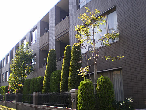 ライオンズマンション元代々木グランフォートの写真 12枚目