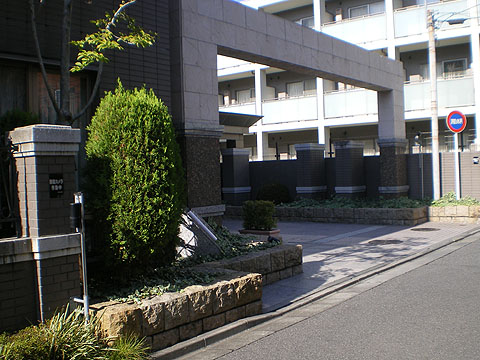 ライオンズマンション元代々木グランフォートの写真 15枚目