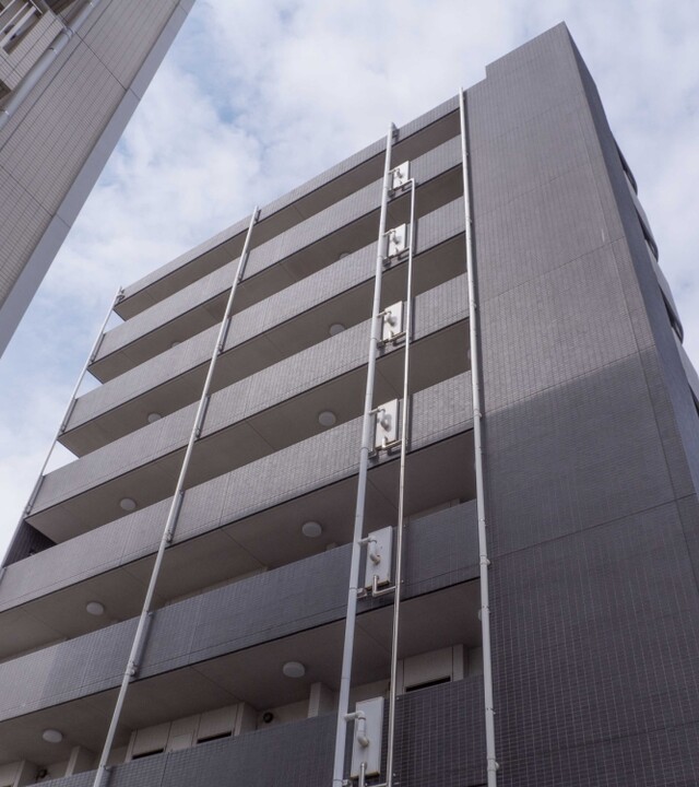 シンシアフォーディーエフフォートの写真 3枚目