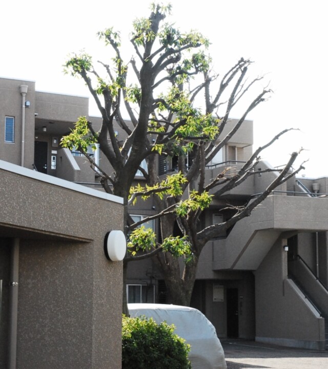 東急ドエルアルス深沢の写真 5枚目