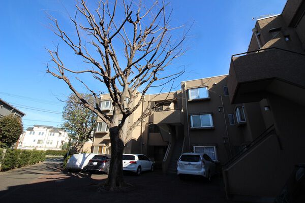 東急ドエルアルス深沢の写真 4枚目