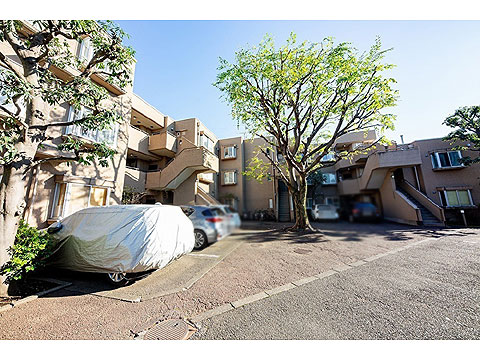 東急ドエルアルス深沢の写真 9枚目