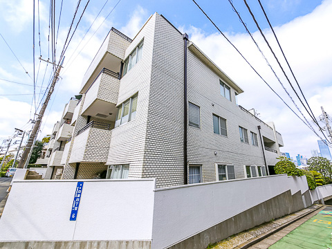 ロイヤル白金ガーデンの写真 12枚目