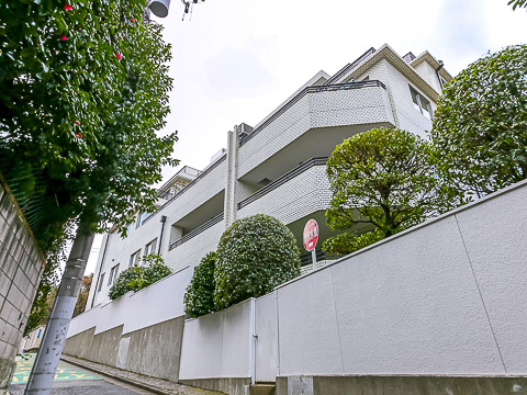 ロイヤル白金ガーデンの写真 14枚目