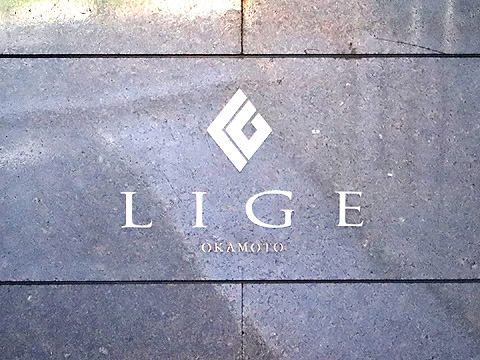 リジェ岡本の写真 12枚目