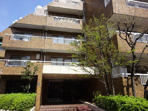 ボーン赤坂の写真 13枚目