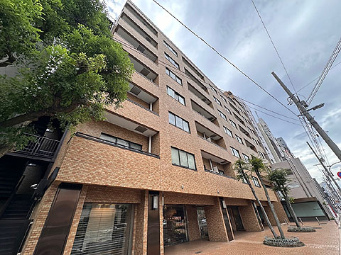 ドミール南青山の写真 7枚目