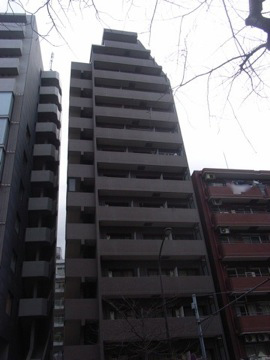 パレステュディオ広尾の写真 14枚目