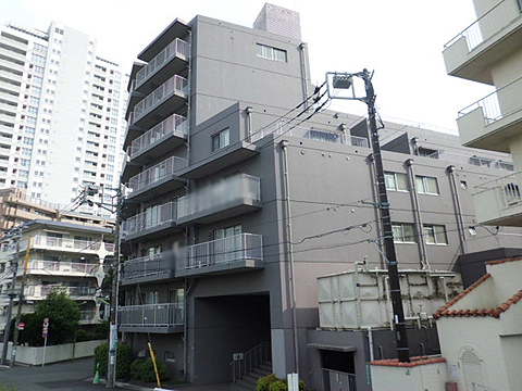 二子玉川宝ロイアルハイツの写真 12枚目