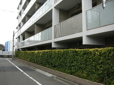 リベラージュ等々力の写真 9枚目