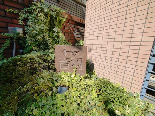 イトーピア音羽の写真 9枚目