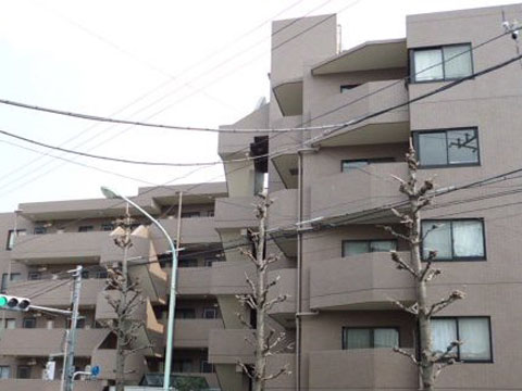 グランパーク深沢の写真 14枚目